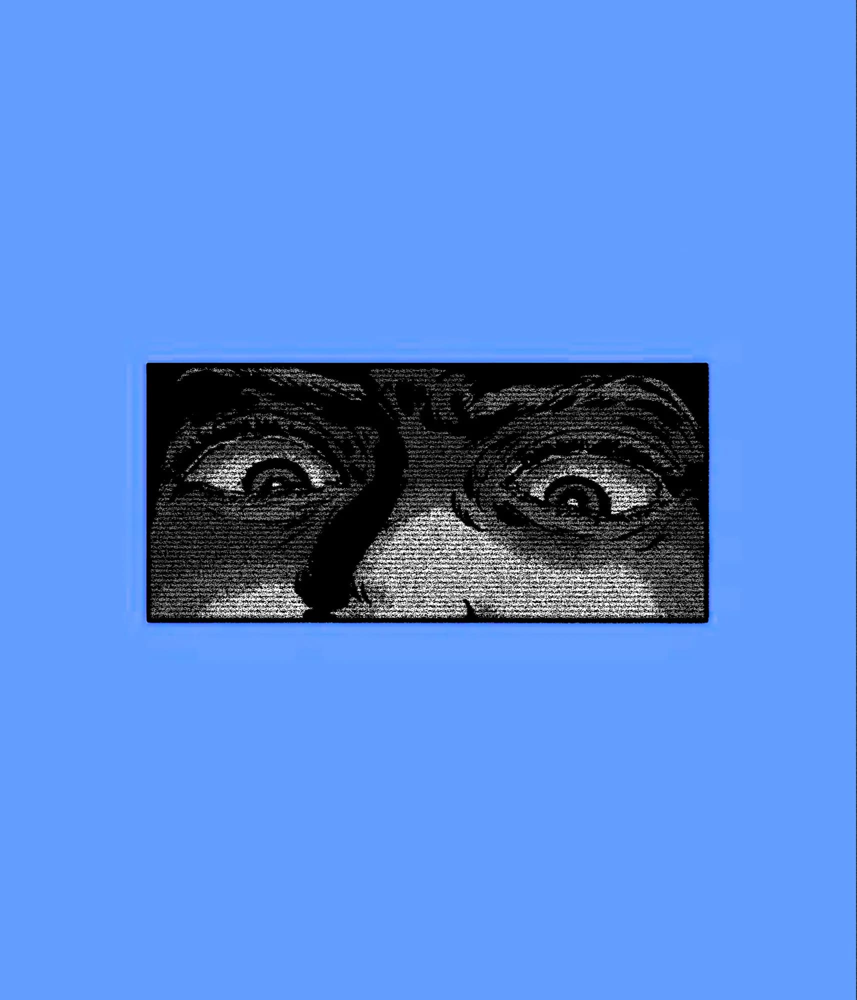 PFP MAYBE