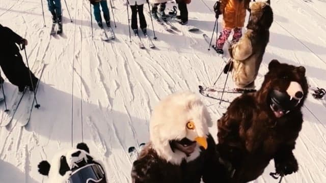 WILDCOAT POV Social